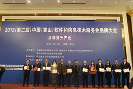 北京新思軟件閃耀2013中國黃山軟件品牌大會，技術(shù)服務(wù)實力斬獲多項殊榮